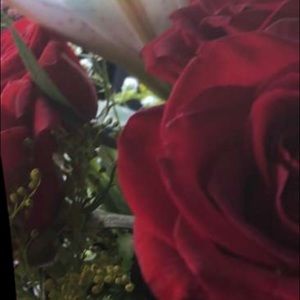 Meet your Posher, Jasmin